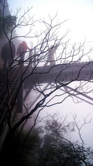 dsc05250_副本.jpg