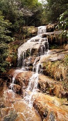 dsc05727_副本.jpg