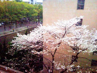 120328_154008_副本.jpg