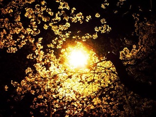 120329_191053_副本.jpg
