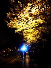 120329_191130_副本.jpg