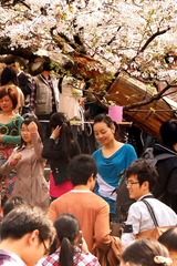 DSC05790_副本.jpg