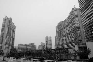 DSC06141.jpg
