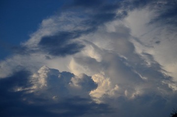 DSC_6176.JPG