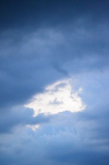 DSC_6575.JPG
