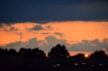DSC_6578.JPG
