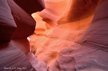 DSC_9702.jpg