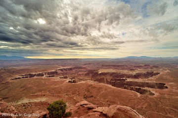 DSC_8901.jpg