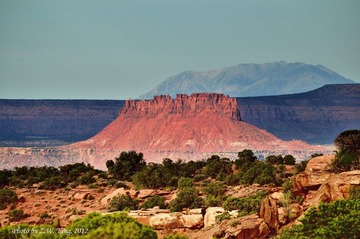 DSC_8917.jpg