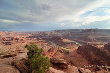 DSC_9141.jpg