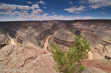 DSC_9489.jpg