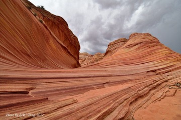 DSC_0471.jpg