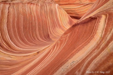 DSC_0372.jpg