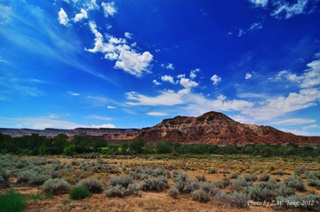 DSC_7621.jpg