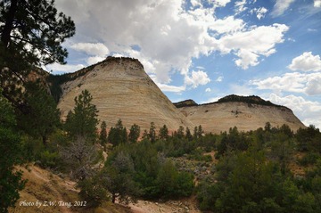 DSC_7766.jpg