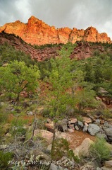 DSC_0196.jpg