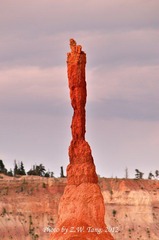 DSC_8383.jpg