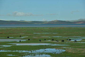 DSC_5113.JPG