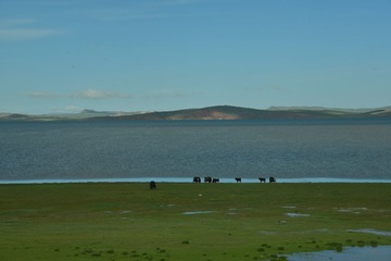 DSC_5115.JPG