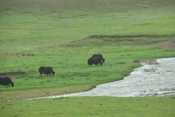 DSC_5189.JPG