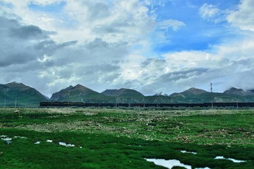 DSC_5874.jpg