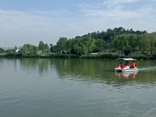 3204506