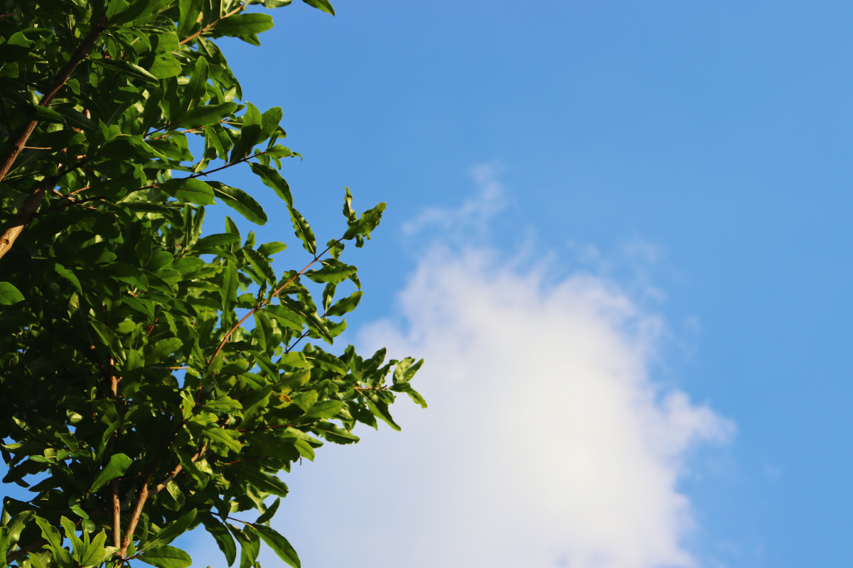 夏天天空