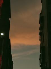 25026