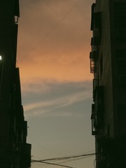 25025