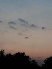 1627146