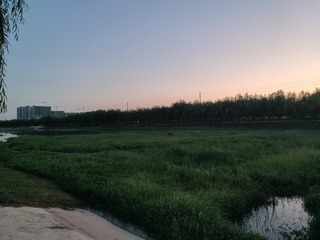 47663