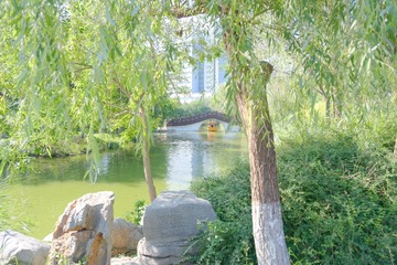 875EE0E7-780C-4728-B325-3D16180D4CB7/L0/001