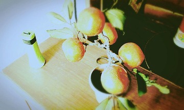 C360_2012-03-11-11-30-08_副本.jpg