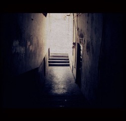 DSCF5460.jpg