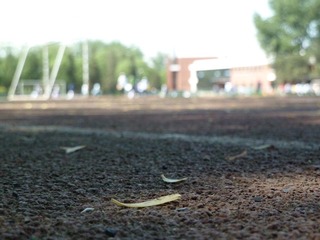 P1000852.JPG