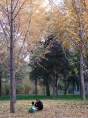 P1010805-1.JPG