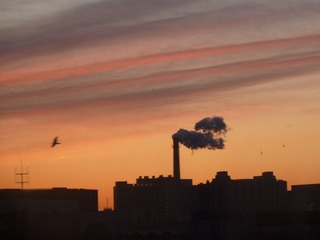 P1010855.JPG