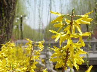 P1020124.JPG