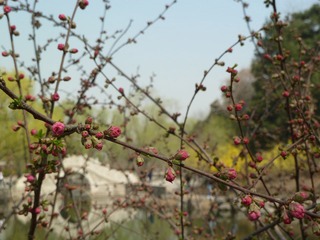 P1020129.JPG