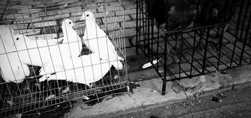 20140913_071522_