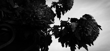 20140920_171353_
