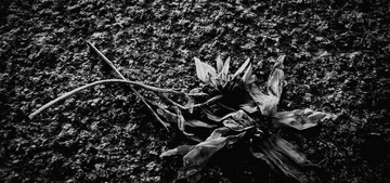 20140920_165823_
