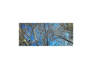 20140930_090338__1