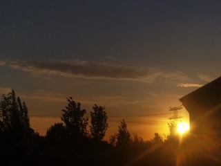 506823