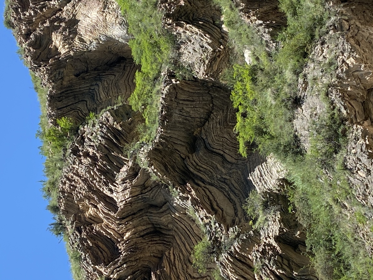 造山运动的结果