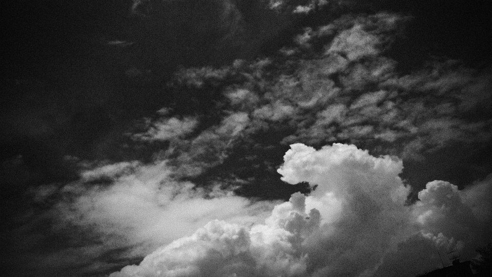 夏雨<br />
