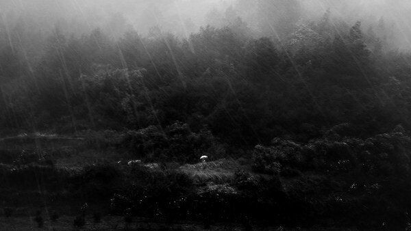 夏雨<br />
