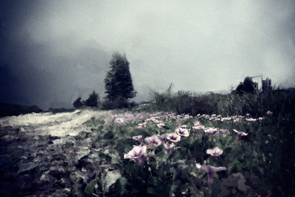 路过的风景<br />
