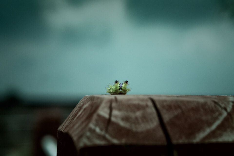 来生勿忘<br />
