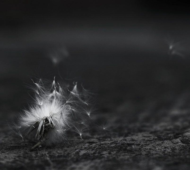 分崩离析的开始<br />
